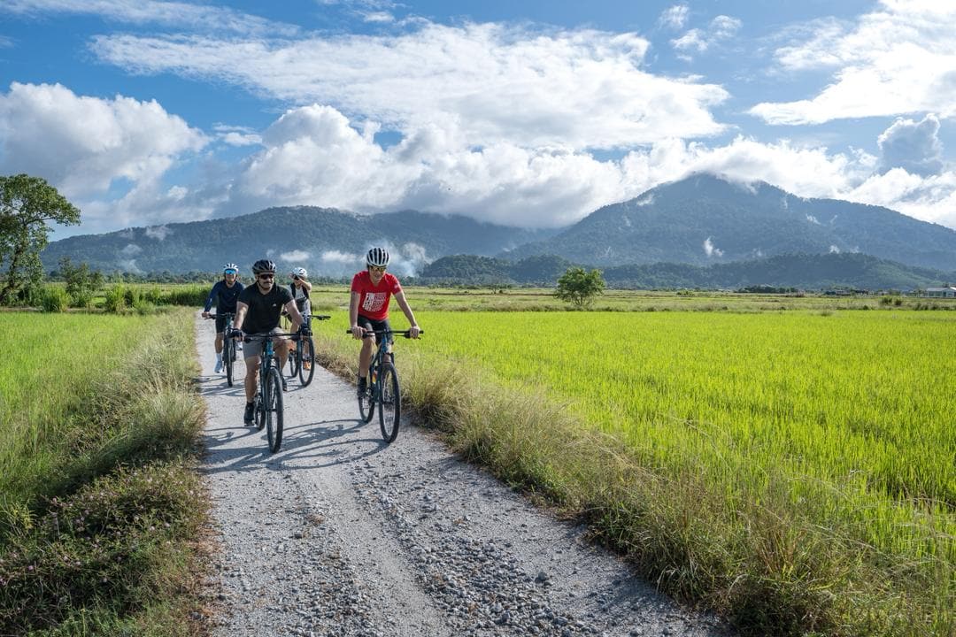 Langkawi Paddy Field Countryside Cycling Tour